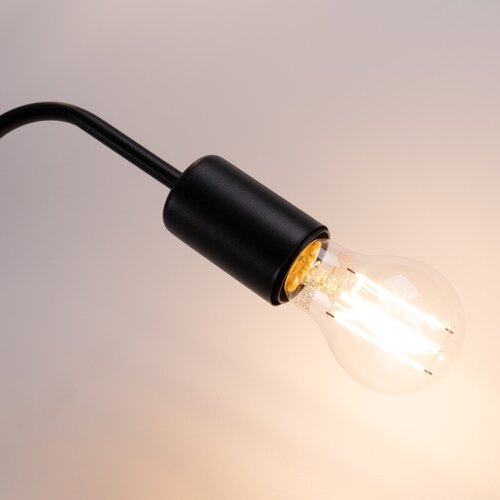 Sollux Lighting SL.1446 - Plafonski luster VECTOR 4xE27/15W/230V crna Slike