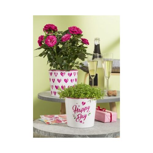  Saksija Happy Kiss 870/13 Cijene