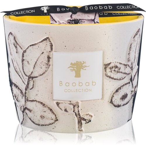 Baobab Collection Folia Calanque di&amp;scaron;eča sveča 10 cm Slike