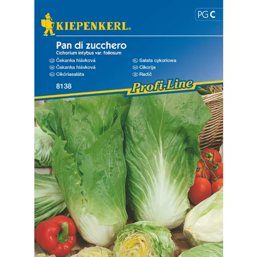 KIEPENKERL Radič Pan di zucchero Kiepenkerl (Cichorium intybus var. foliosum)