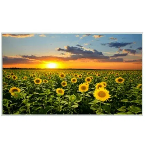 Infracrvena grijaća ploča Sunflower (D x Š x V: 1.000 x 18 x 600 mm, 600 W)