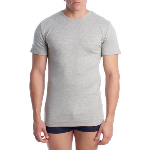 Abanderado Spodnje majice A0256-1W340 Siva Cene