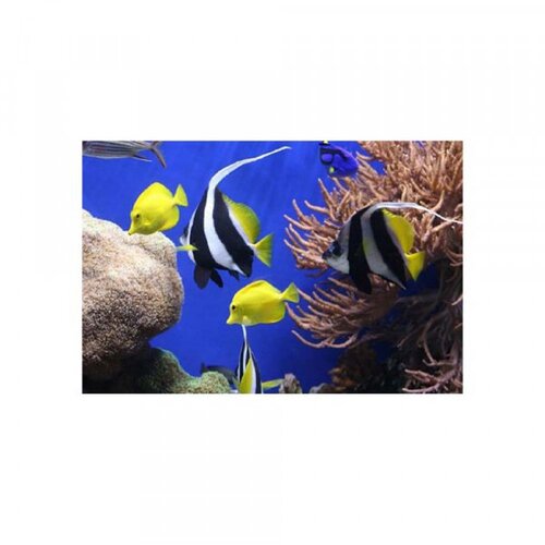 Olimp Sport podloga za mi&scaron;a fellowes earth sea 5909301 Cene