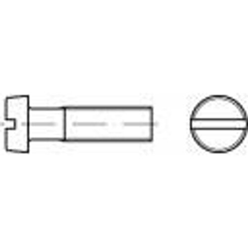Toolcraft TO-5445525 vijci s cilindričnom glavom M6 70 mm utor DIN 84 poliamid 100 St. Cene