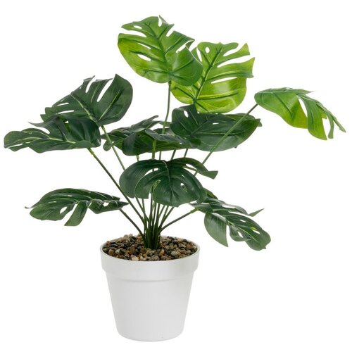 Casa Selección Umetna monstera (višina 38 cm) – Cene