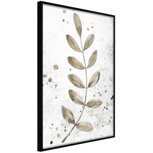  Poster - Dried Twig 20x30 Cijene