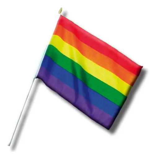 Diverty Sex Majhna zastava z LGBT zastavo+ 30 cm, (21088127)