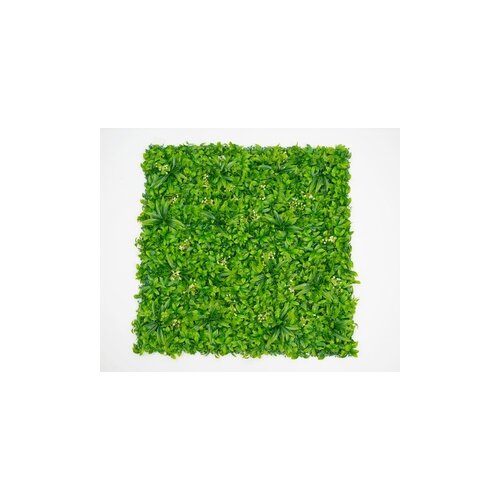 BOLZZ zeleni zid 3D amazon 2 100X100 cm BOLZZIDAMA2 Cene