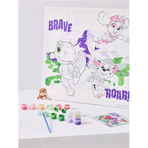 Sinsay Komplet za slikanje PAW Patrol Slike
