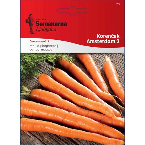 Semenarna Ljubljana Korenček "Amsterdam 2" - 7 g Cene