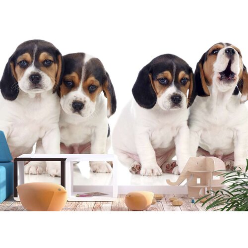  Tapeta - Sad Puppies 250x175 Slike