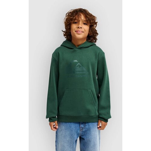 Quiksilver Comp Logo Kids Pulover s kapuco forest Slike
