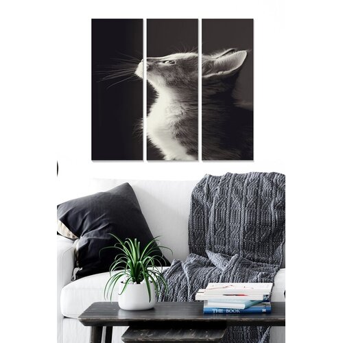 Wallity Set slika MDF3210439, 3 dijela Cene