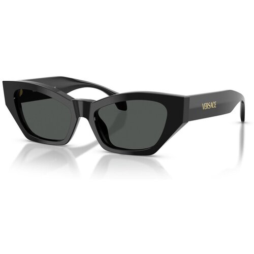 Versace VE4488U GB1/87 ONE SIZE (53) Črna/Siva Slike