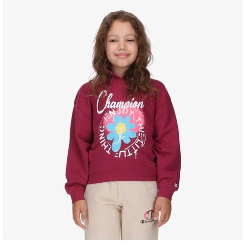 Champion Hooded sweatshirt Cene