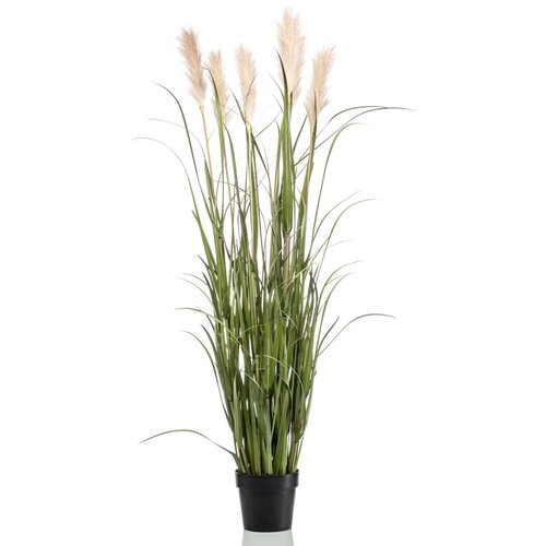 Emerald Umetna pampa&amp;scaron;ka trava v loncu 160 cm, (20768537) Slike