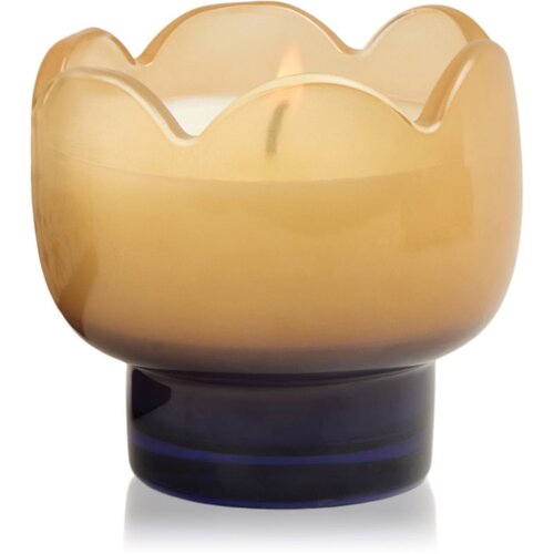 Paddywax Tulip Garden & Grove mirisna svijeća 155 g Cijene