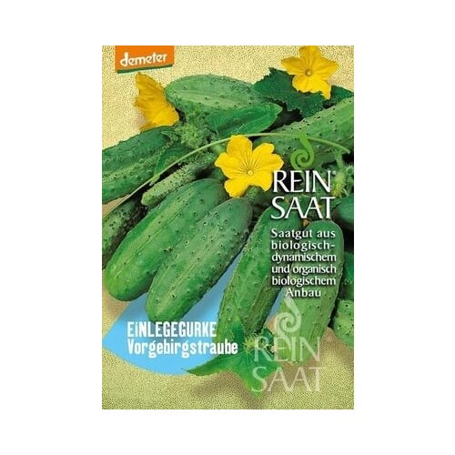 ReinSaat Kisle kumare &amp;quot;Vorgebirgstraube&amp;quot; Slike
