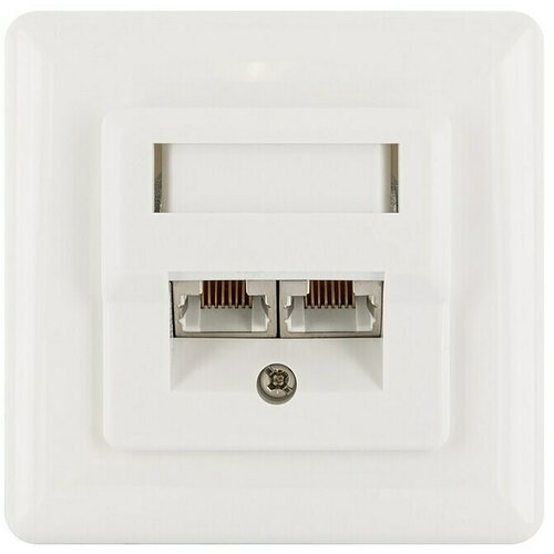 SCHWAIGER Mrežna utičnica (Podžbukno, Bijele boje, RJ45 utičnica) Cijene