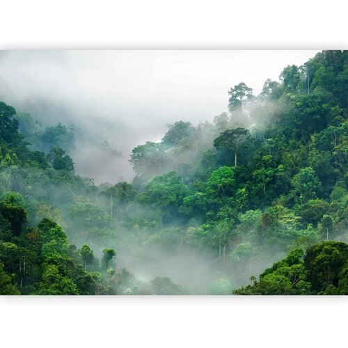  Foto tapeta - Morning Fog 200x140 Standard Cene