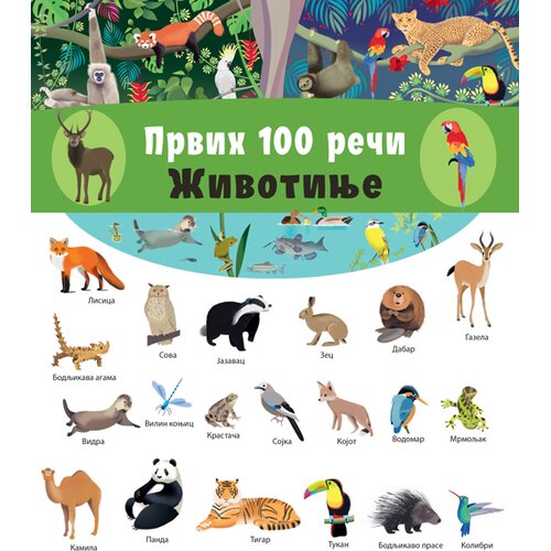  Prvih 100 reči: Životinje Slike