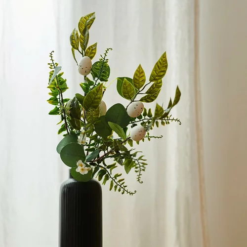 Sinsay - Okrasna rastlina - Zelena