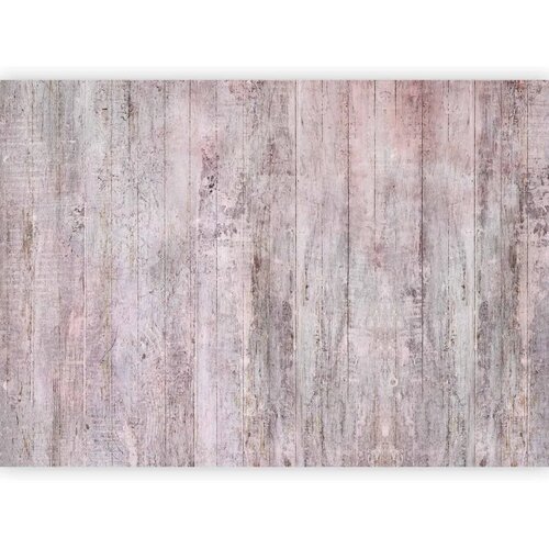  Foto tapeta - Rustic Textures - Second Variant 450x315 Standard Slike