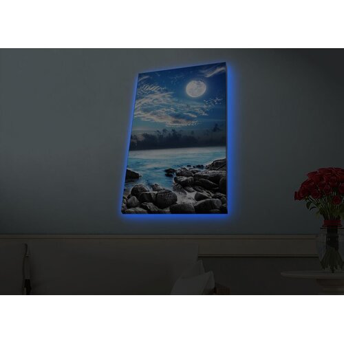Wallity Zidna slika sa LED osvetljenjem 4570HDACT-099, 45x70 cm Cene