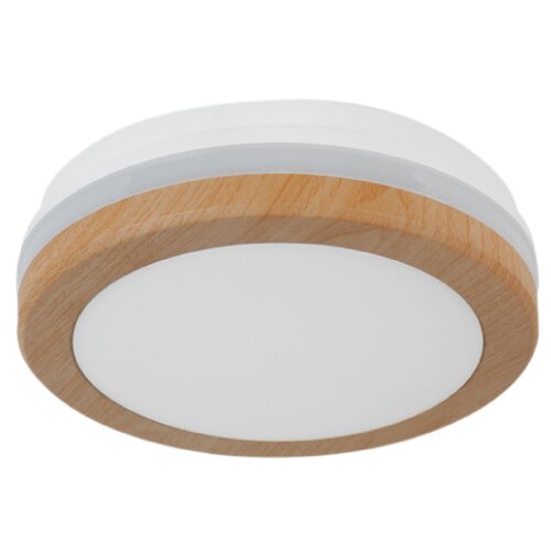  LED plafonjera 15W, promenljiva boja svetla Cene