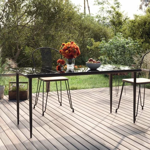  Vrtni blagovaonski stol crni 160x80x74 cm od čelika i stakla