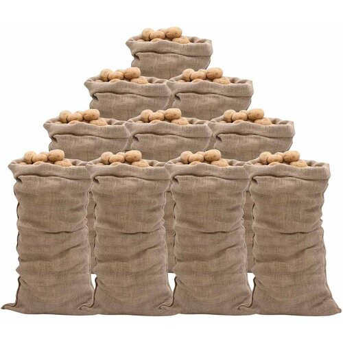 Jutene vreće 10 kom 65 x 135 cm 100 % juta 220 g/m² Cene