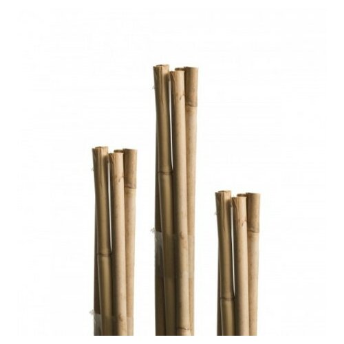 Windhager bambus štap 5 kom ( WH 05608 ) Slike