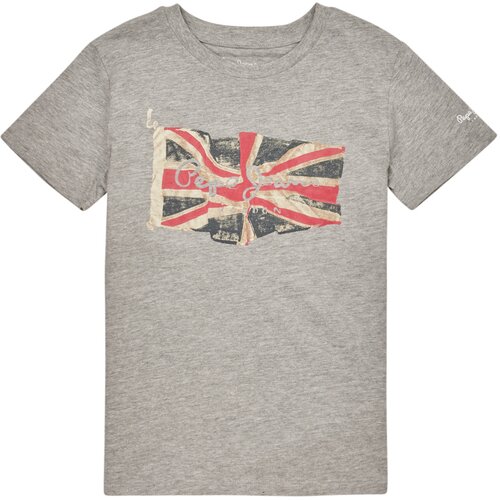 PepeJeans Majice s kratkimi rokavi FLAG LOGO JR S/S N Siva Cene
