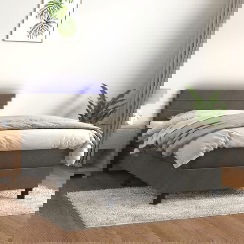 The Living Store Box spring postelja z vzmetnico LED temno siva 100x200 cm žamet - Box Spring Postelja, (21489533) Cene