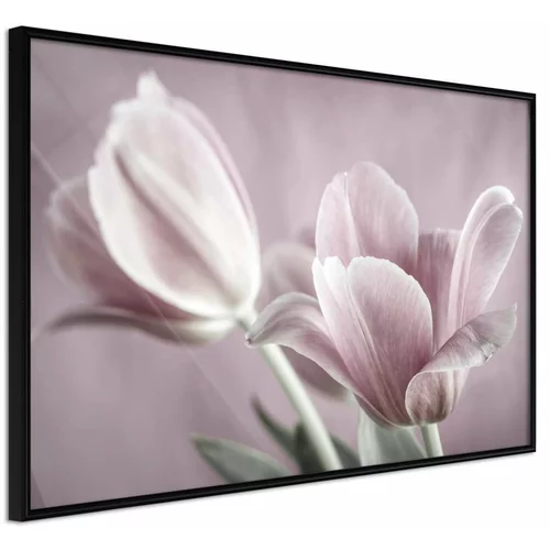  Poster - Pastel Tulips I 90x60