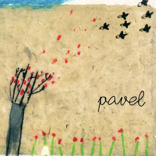POSNETI MEDIJI PAVEL - PAVEL, (21009873) Cene