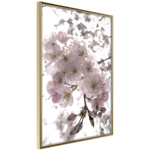  Poster - Spring Visit 40x60 Slike