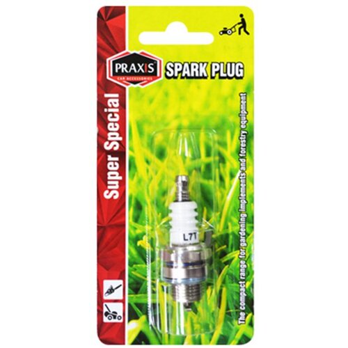 Praxis Svećica za motornu testeru 10*1.0mm Cene