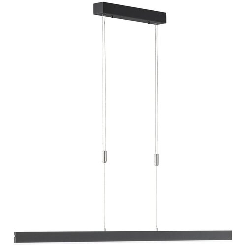 Fischer & Honsel Črna LED zatemnitvena viseča svetilka Straight – Cene