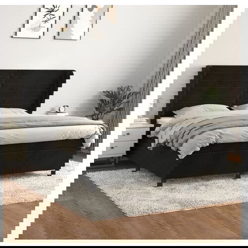 VidaXL Krevet s oprugama i madracem crni 160x200 cm bar&amp;scaron;unasti Slike
