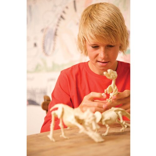 4m Dinosaur Stegosaur Slike