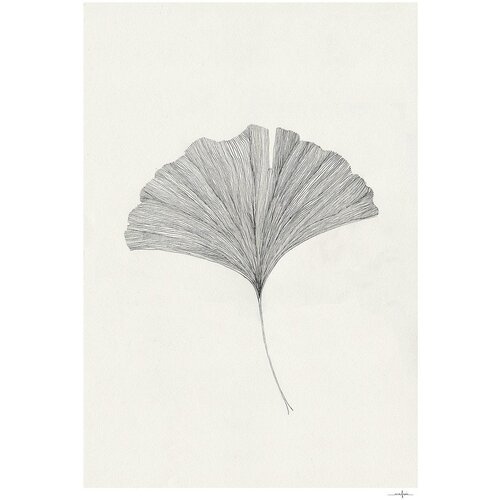 The Poster Club Plakat 50x70 cm Ginkgo Leaf &ndash; Ana Frois &ndash; Cene