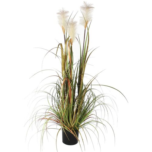 MICA Umjetna biljka Pampas trava (Visina: 120 cm, Zelene boje, Plastika) Slike