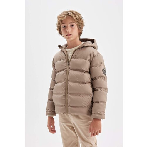 Defacto Boy's Water Repellent Hooded Coat Slike