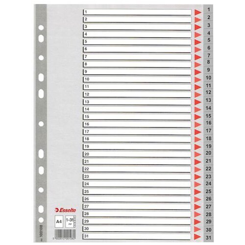Esselte Pregradni karton 1-31 A4 PP, sivo rdeč Slike