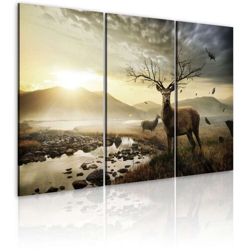  Slika - Deer with a tree-like antlers 60x40 Slike