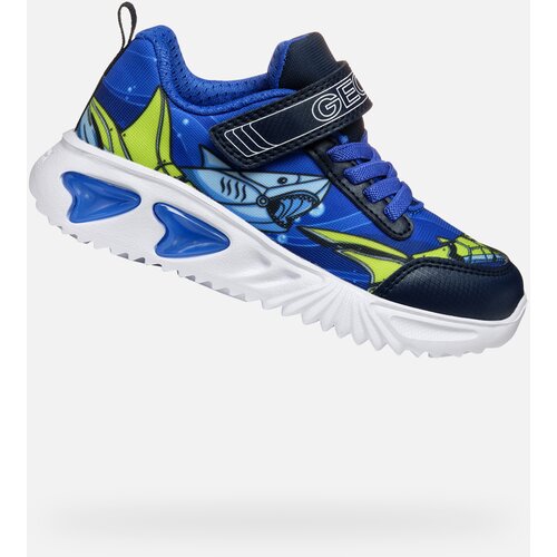 Geox Blue boys' sneakers Assister - Boys Cene