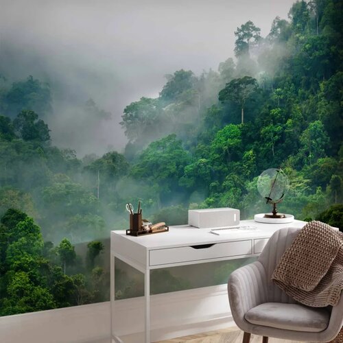  Foto tapeta - Morning Fog 450x315 Premium Cene