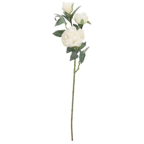  PEONIJA 90CM PVC EVALYN BIZZOTTO Slike