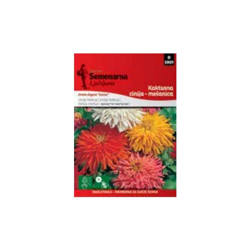  Cinija kaktusna mix (070601) Cene